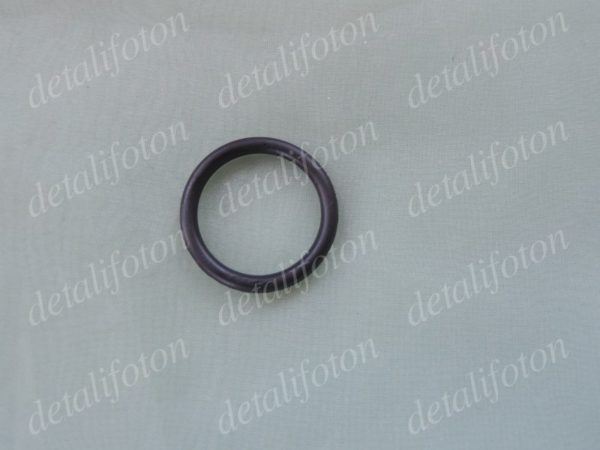 Кольцо уплотнительной пробки поддона ДВС Фотон (Foton)-1039/1051/1061 Aumark 4995185